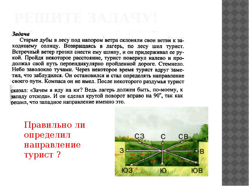 Дальше задача. Старые дубы под напором ветра. Вопросы по теме решение задач по теме ориентирование. Как идти перпендикулярно ветру. Решите географическую задачу. Старые дубы в лесу.