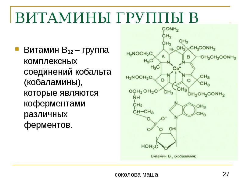 Витамины группы б презентация биохимия