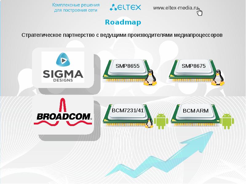 Интерактивный сервис память. Медиапроцессоры Sigma.