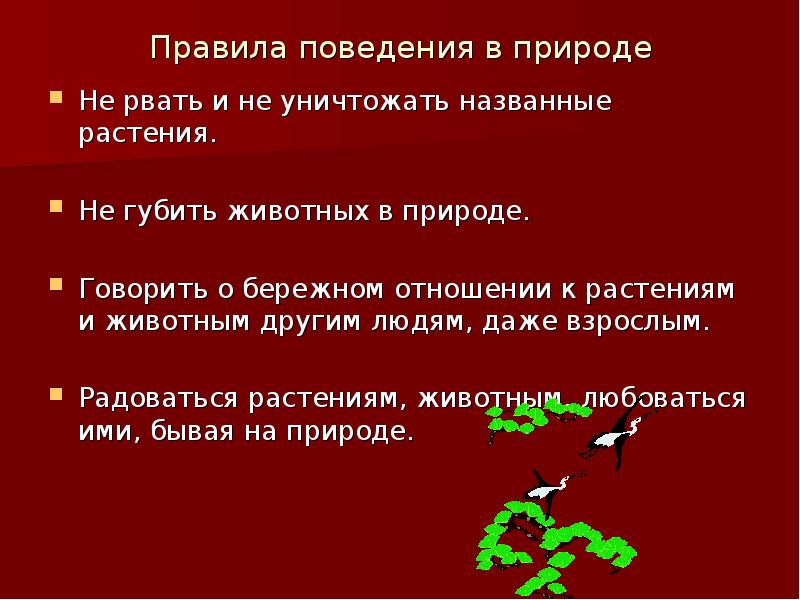 Правила бережного отношения к природе картинки