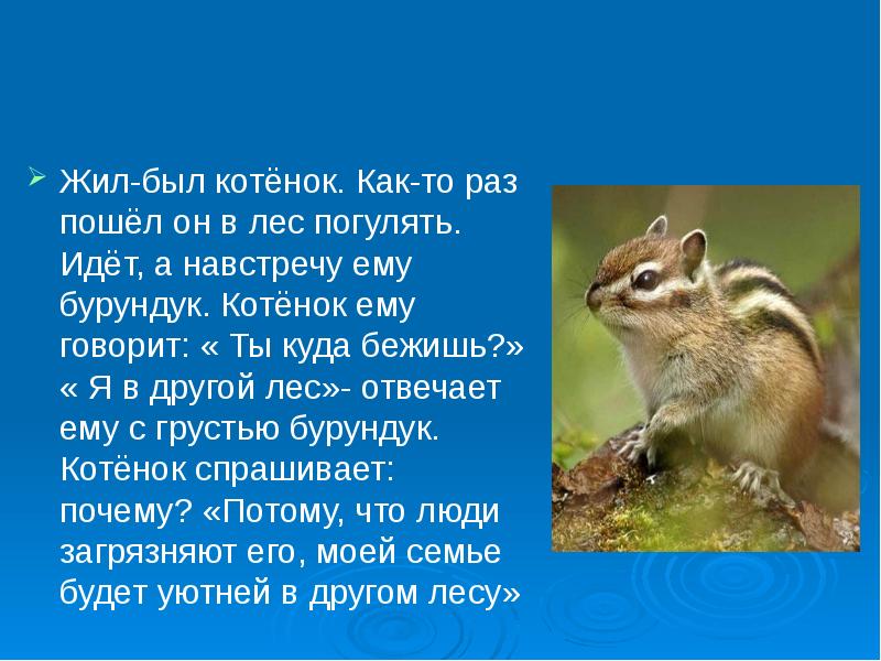 Презентация бурундук огэ