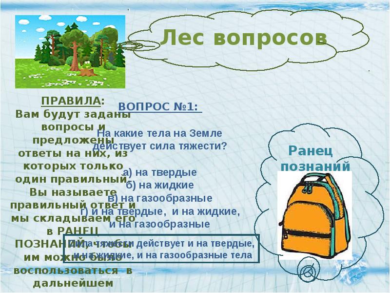 Лес вопросы ответы. Вопросы про лес. Вопросы про лес с ответами. Ответить на вопросы лес. Лесные вопросы 1 класс.