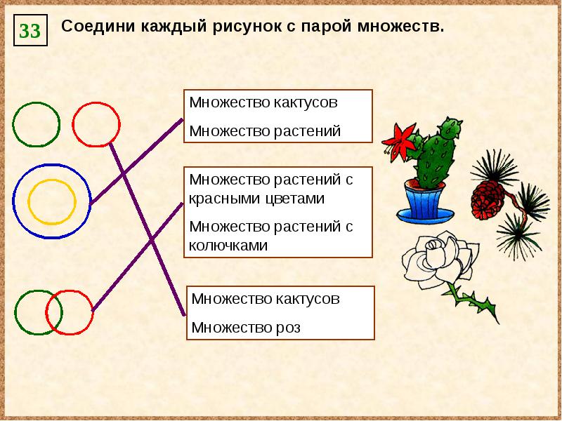 Укажите что объединяет изображения в каждой группе. Соедини каждый рисунок с парой множеств. Соедини каждый рисунок с парой множеств множество кактусов. Множество растений. Соединил каждый рисунок с парой множеств.