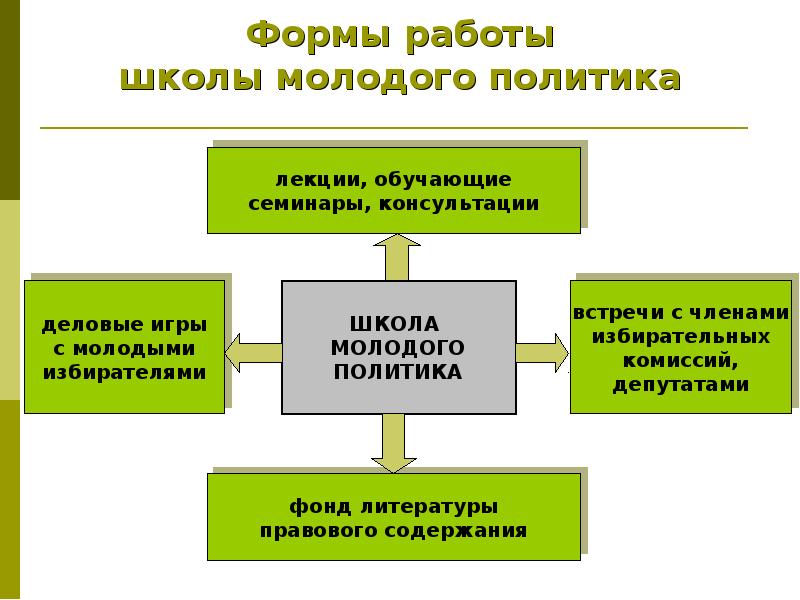 Школа молодого политика. Политика в школе.