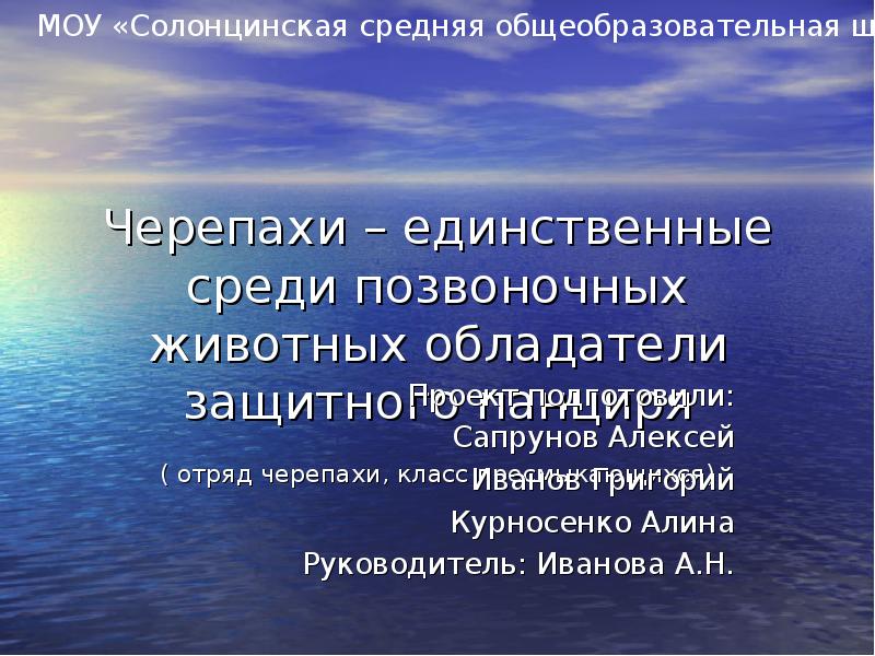 Черепахи – единственные среди позвоночных животных обладатели защитного панциря ( Черепахи – единственные среди позвоночных животных обладатели защитного панциря (