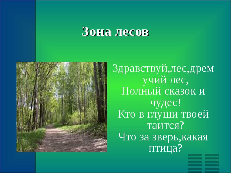 Зона лесов 4 класс. Рассказ про лесную зону. Рассказ о зоне лесов. Маленькое сообщение о зоне лесов. Стихотворение про зону лесов.