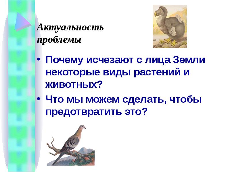 Почему исчезают сайты. Почему исчезают виды животных. Актуальность проблемы исчезновения животных. Почему некоторые виды растений и животных исчезают. Причины исчезнувших животных и растений.