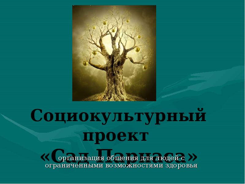 Социокультурные проекты примеры