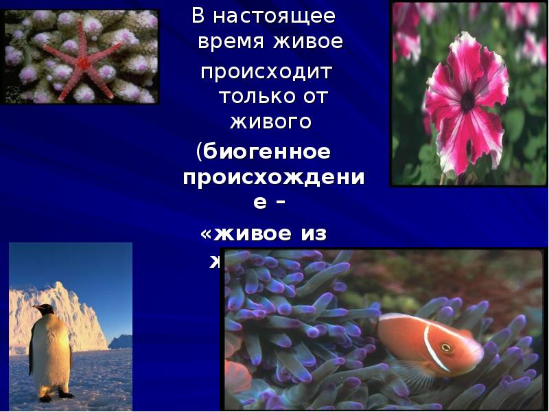 Живой произойти. Происхождение живого от живого. Появление живого только из живого. Все живое происходит только от живого. Это:. Живое могло произойти только от живого.