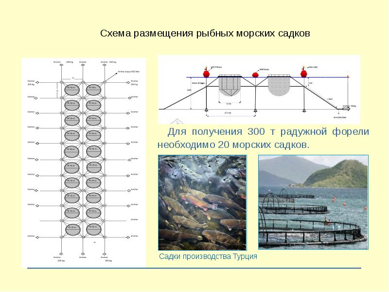 Карта садков о