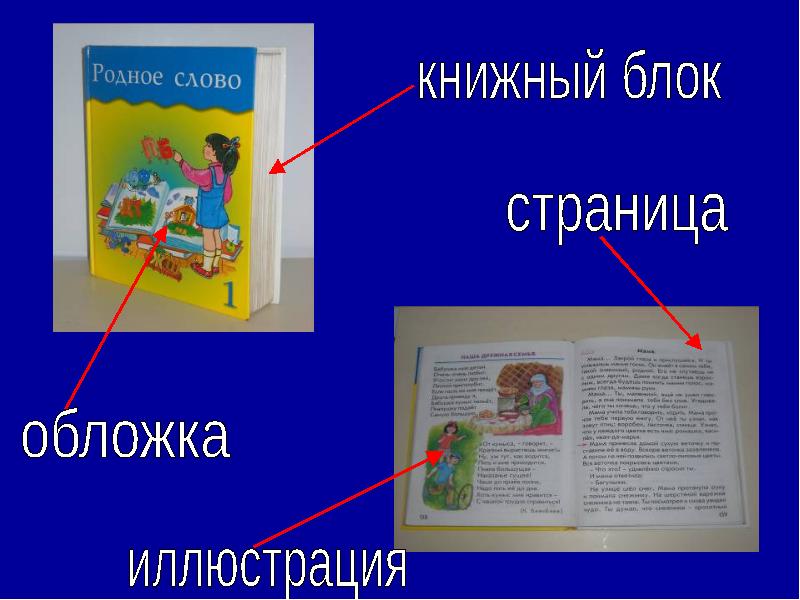 Структура книги 2 класс презентация