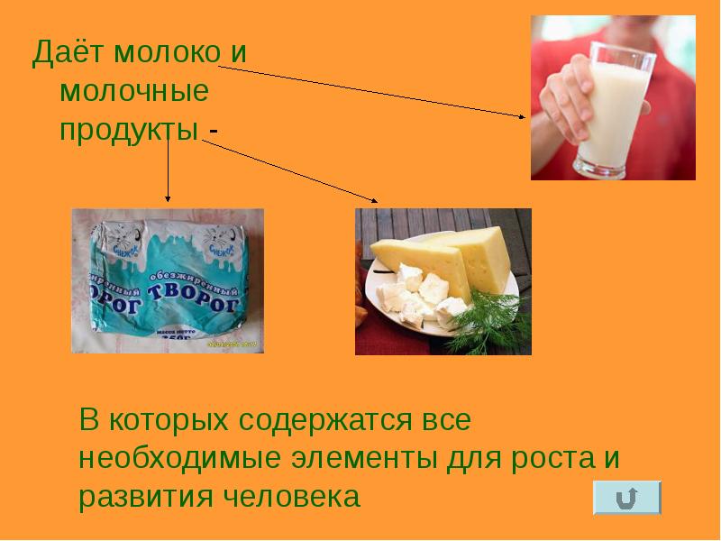 Что такое дал продукт. Альтернатива молочным продуктам. что дает молоко. молочные дали молоко.