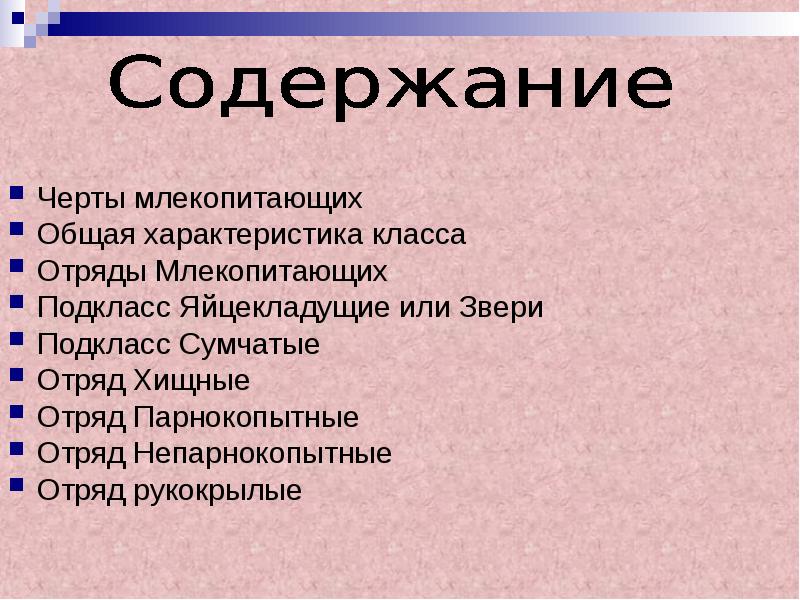 Общая характеристика млекопитающих презентация