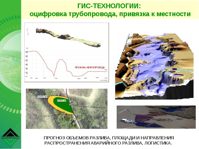 Оцифровка проект