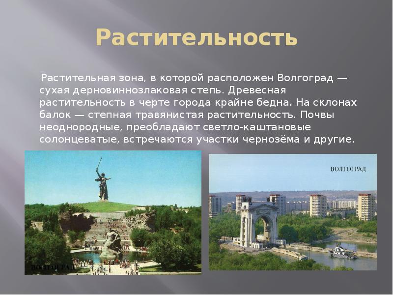 Проект по окружающему миру 2 класс про города россии волгоград