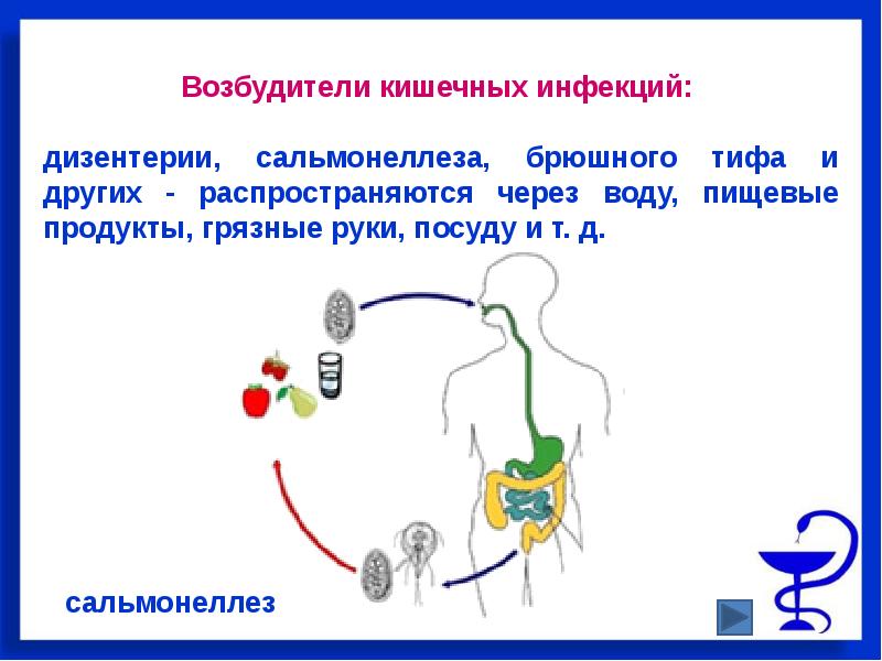 Основные инфекционные заболевания и их профилактика презентация