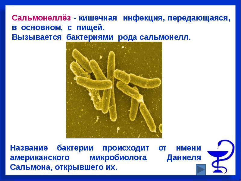 Эшерихиозы инфекционные болезни презентация