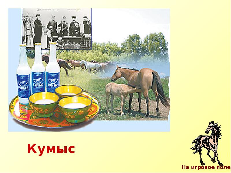 Мама купила 4 л кумыса. Кумыс. Кумыс национальный напиток. Лошадь кумыс. Башкирский напиток кумыс.