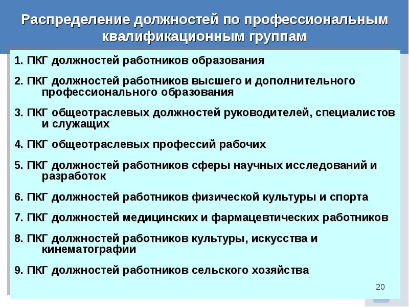 Должности педагогических работников организаций высшего образования