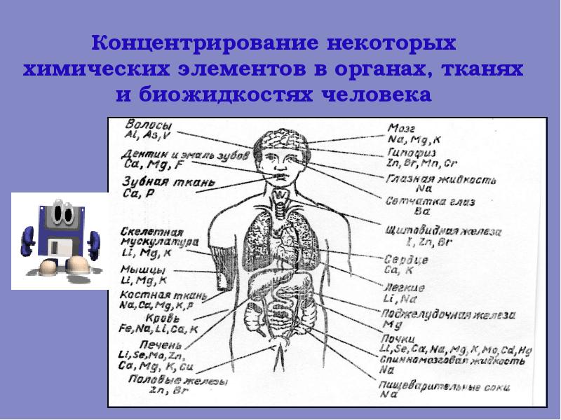 Влияние тяжелых металлов на здоровье человека проект