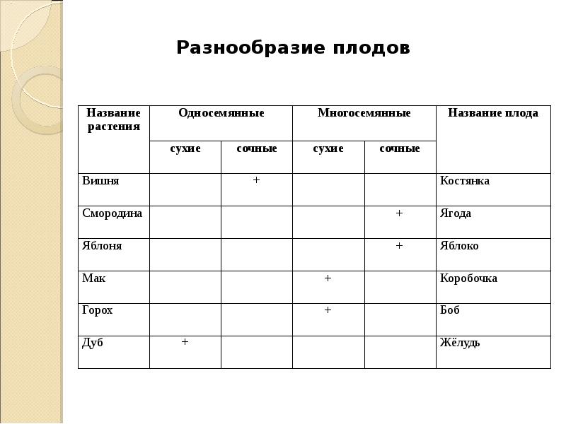 Разнообразие плодов. Таблица многообразие плодов. Плод разнообразие и значение плодов 6 класс биология таблица. Таблица разнообразие плодов биология 6. Таблица по биологии разнообразие плодов.