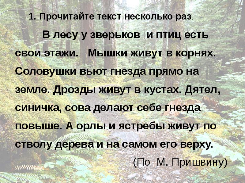 Соловушка песня текст