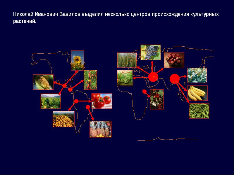 История изменения природы земли человеком презентация 7 класс