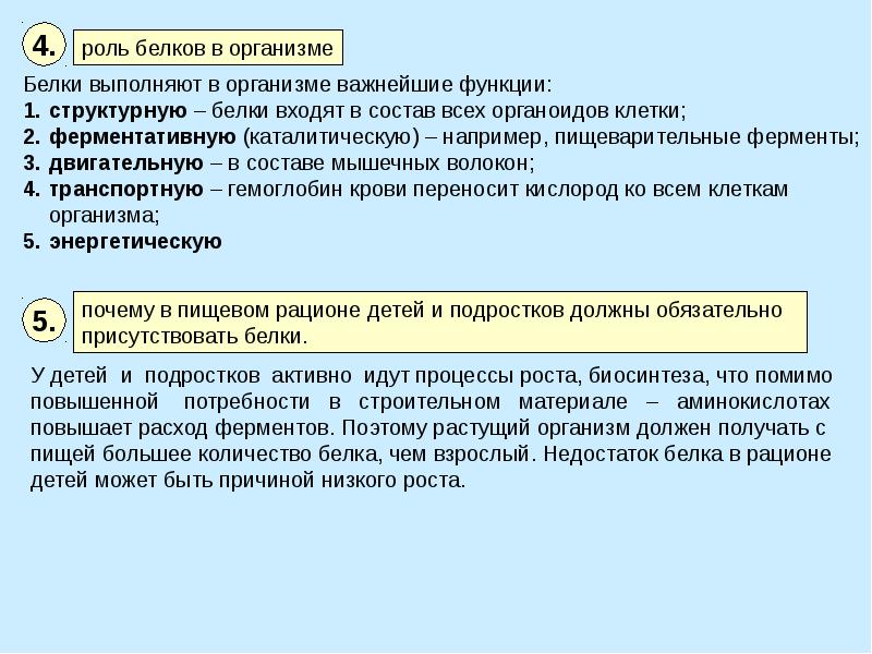 Белки роль белков в организме