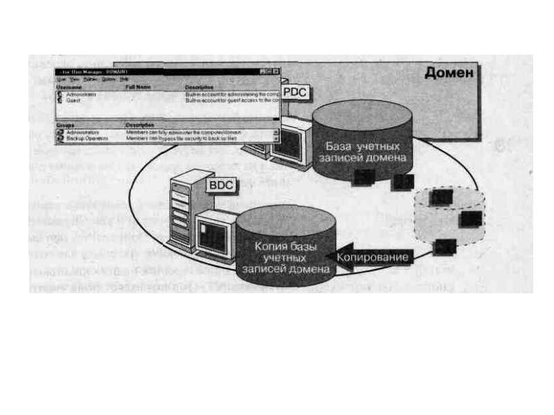 База учетных записей. Доменная учетная. Локальная учетная система. Схема администрирования виндовс.