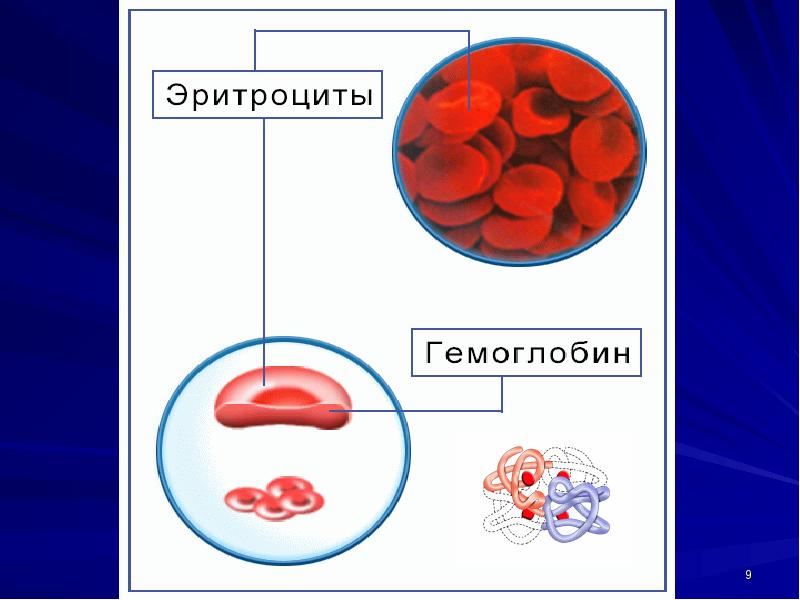 Посмотрите на изображение эритроцитов в разной среде в каком