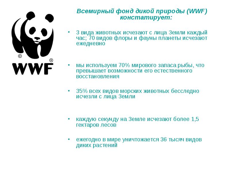 Wwf презентация на английском