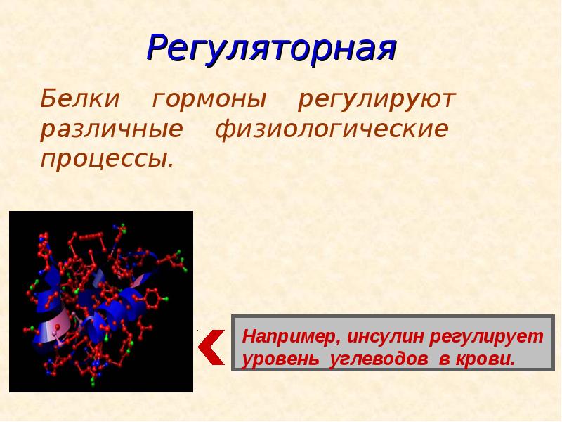 Презентация по белкам