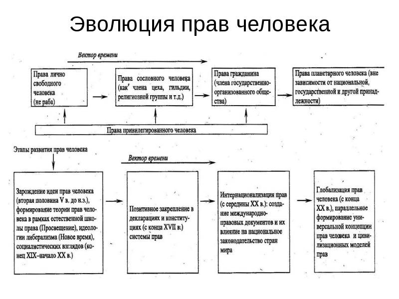 Права второго поколения схема