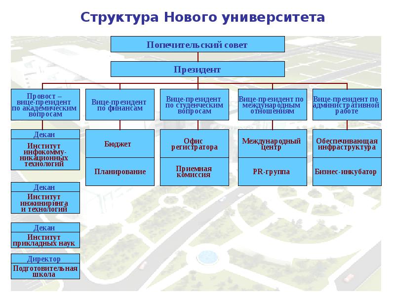 Полная структура. Организационная структура университета. Структура вуза. Структура учебного заведения. Структура вуза таблица.