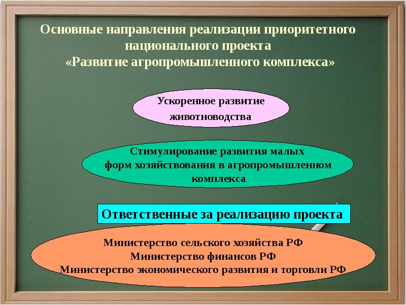 Реализация приоритета. Направление национального проекта развития АПК. Основное направление АПК. Итоги национального проекта «развитие агропромышленного комплекса». Приоритетные национальные проекты развитие АПК цели.