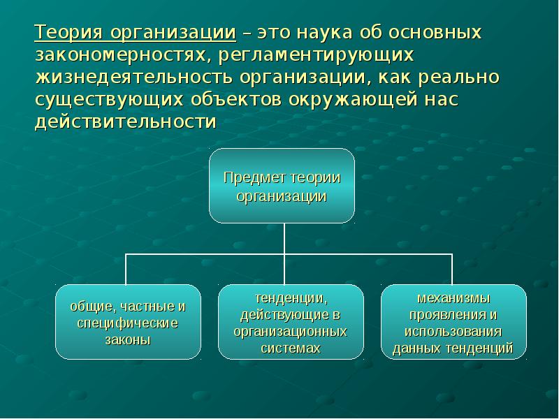 Жизнедеятельность организации