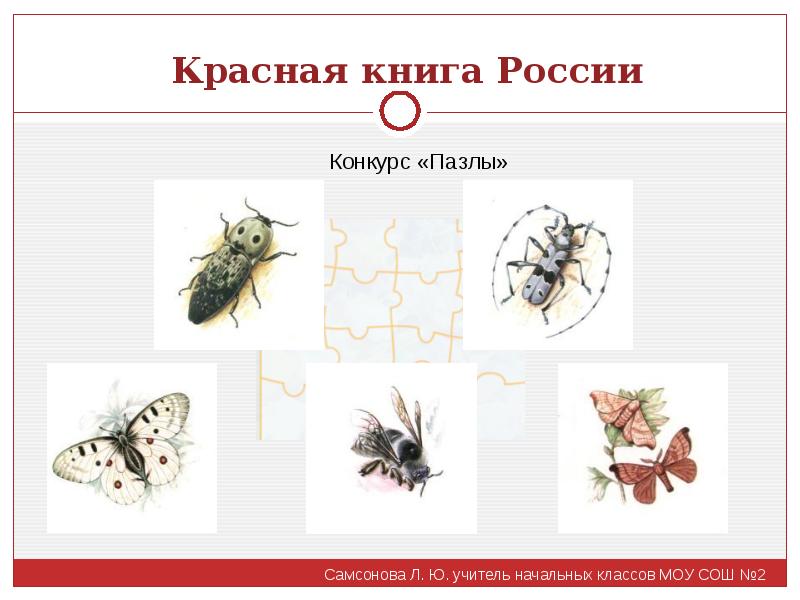 Красная книга перспектива. Пазлы по страницам красной книги. Внеклассное мероприятие красная книга 2-3.