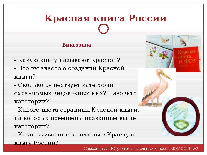 Викторина красная книга презентация