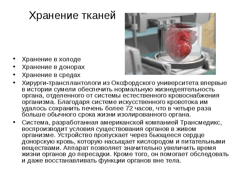 Выращивание органов презентация