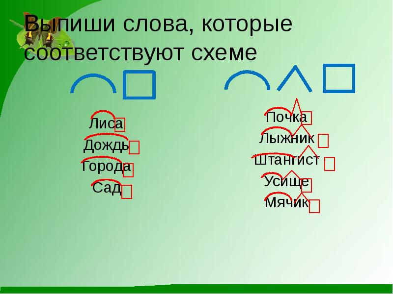 Слово соответствующее схеме