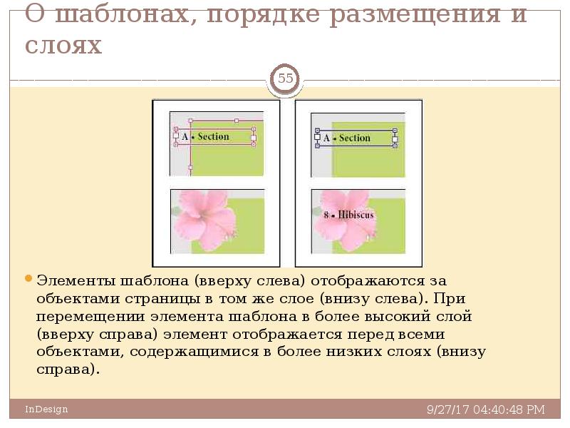 4 опишите технологию размещения изображений на странице