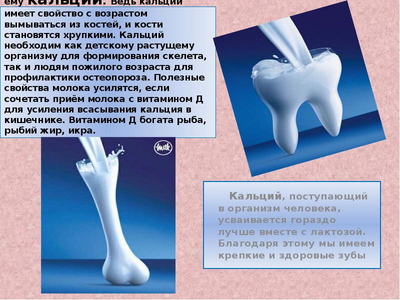 Молоко это здорово проект для 4 класса