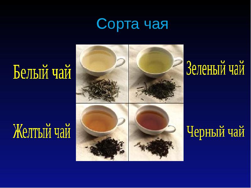 Чай сорта и виды. Разновидности чая. Сорта чая. Разные сорта чая. Биологические сорта чая.