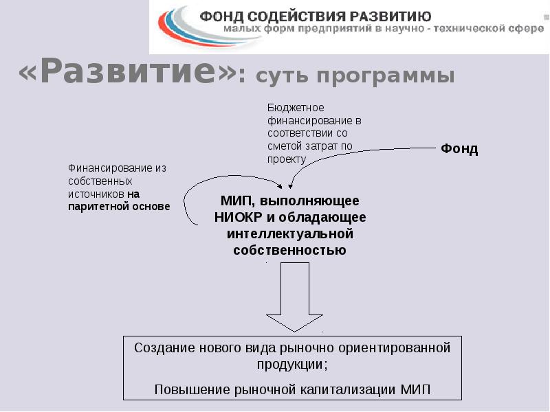 Малые формы организации. Формы организации ниокр. малая форма предприятия. бюджетное финансирование ниокр. капитализация интеллектуальной собственности.