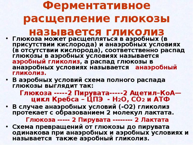 Расщепление глюкозы