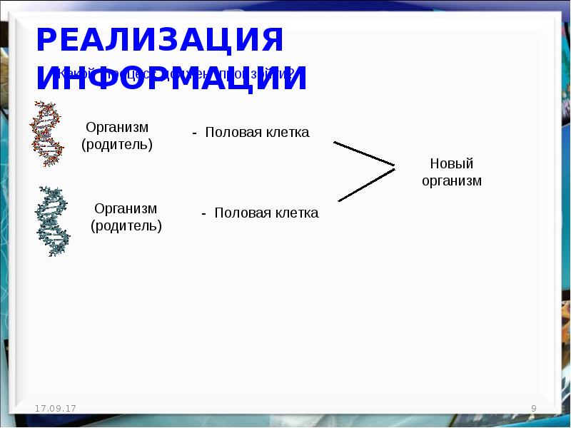 Реализация сообщения. Почему дети похожи на родителей 5 класс. Почему мы похожи на родителей 5 класс. Почему мы похожи на своих родителей презентация. Почему дети похожи на своих родителей.