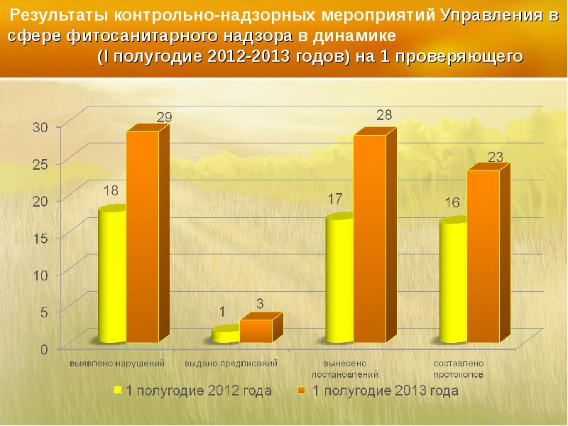 Результат контрольно надзорного мероприятия. Результаты контрольного (надзорного) мероприятия. Контрольно-надзорные мероприятия. Итог контрольного мероприятия. В результате проверочных мероприятий.