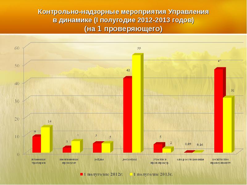 Результат контрольно надзорного мероприятия. Контрольно-надзорные мероприятия. Контрольно-надзорная деятельность.