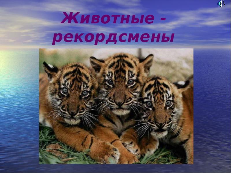 Животные рекордсмены презентация