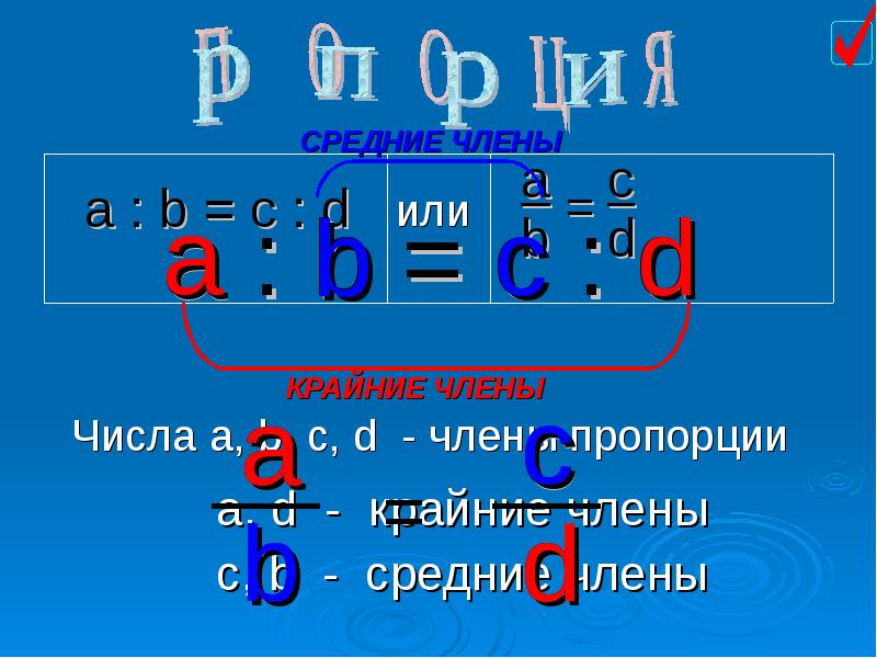 Тема пропорции 6